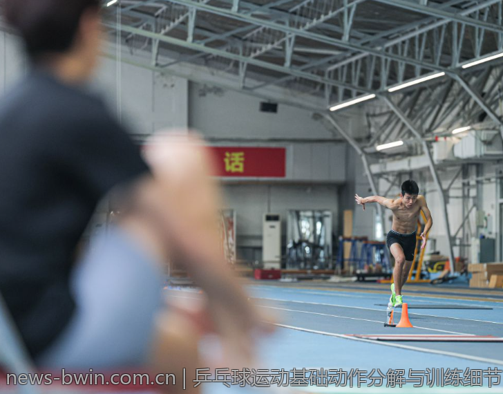乒乓球运动基础动作分解与训练细节